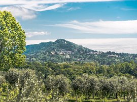 10-coubtryside-solo-food-tour-