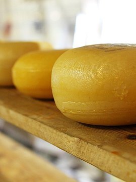 cheese-2785_1920
