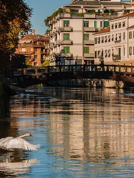 foto servizio 4 treviso 