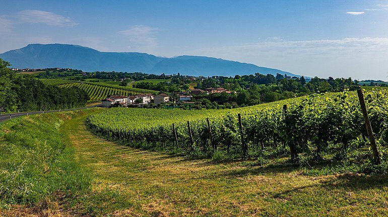 Prosecco Tour from Venice: The Ultimate Day Trip to the Prosecco Hills ❒ Tour Leader Italy
